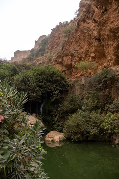 Thin Waterfall Cascading Through Lush Green Gorge at El Ourit Falls Near Tlemcen Algeria