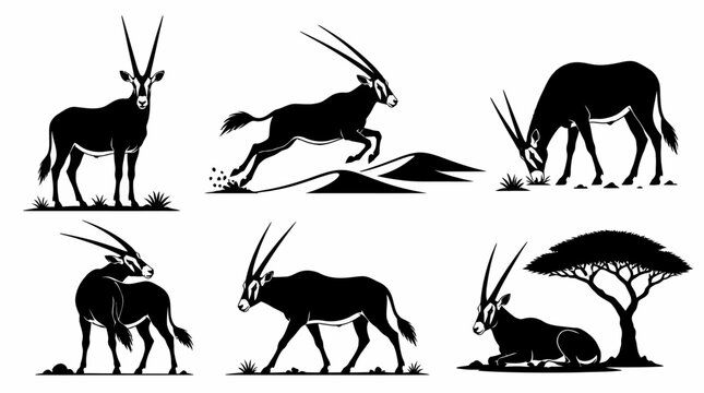 Set of Oryx Antelope Silhouettes in Various Poses, African Wildlife