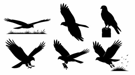 Fototapeta premium Eagle Silhouettes in Flight and Hunting, Set of Wildlife Icons
