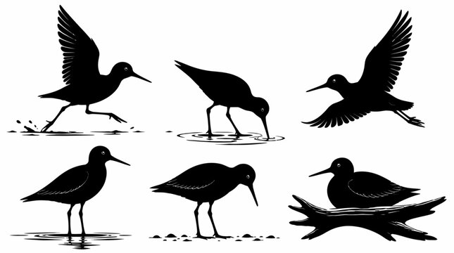 Sandpiper bird silhouettes in various poses, minimalist vector art