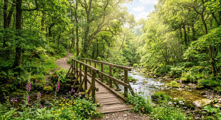 Obraz premium Lush green forest landscape with wooden bridge over stream, scenic woodland hiking trail, sunny summer nature background with river