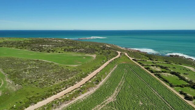 White Hut, Yorke Peninsula, South Australia &ndash; 4K aerial drone view of agricultural landscape, canola farms, contryside road, Daly Head National Surfing Reserve, rocky coastline.