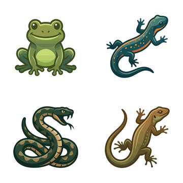 Colorful reptiles and amphibians on white.