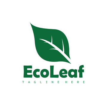 Natural leaf design, elegant, eco-friendly, natural leaf template