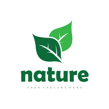 Natural leaf design, elegant, eco-friendly, natural leaf template