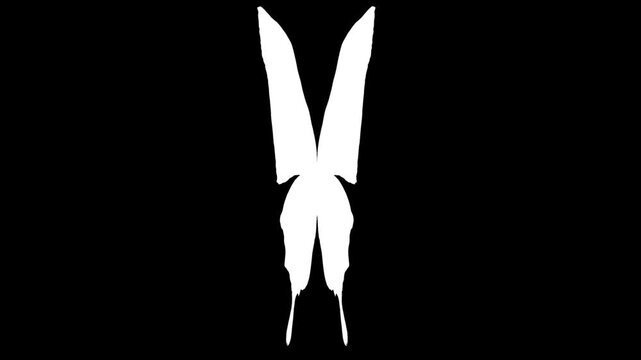  White butterfly silhouette front view seamless loop with alpha channel.
