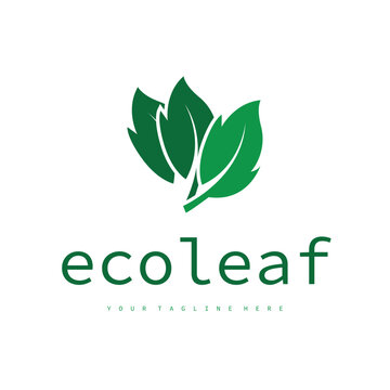 Natural leaf design, elegant, eco-friendly, natural leaf template