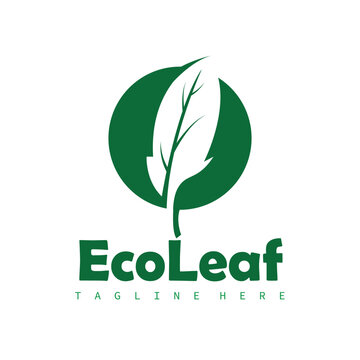 Natural leaf design, elegant, eco-friendly, natural leaf template