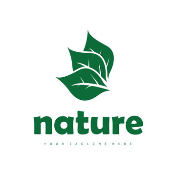 Natural leaf design, elegant, eco-friendly, natural leaf template