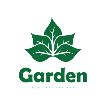 Natural leaf design, elegant, eco-friendly, natural leaf template