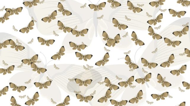 Butterfly pattern animation ideal for elegant designs, nature themes, spring visuals, feminine branding, childrens products, and stationary designs.