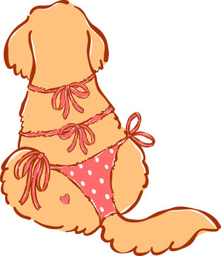Summer Dog Golden Retriever wear Bikini Whimsical Hand Drawn Cartoon Character, turning back pose