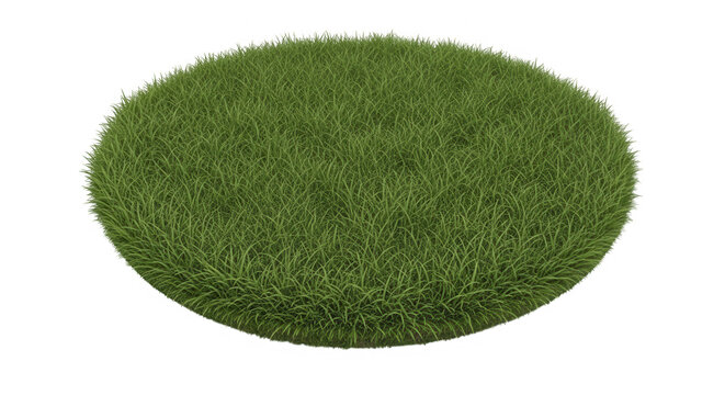 Round patch of fresh green grass isolated on a flat surface isolated on transparent background