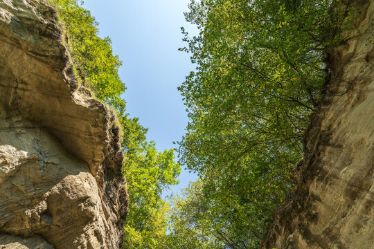 Majestic rocky cliffs and towering trees against blue sky. View of the rocks in Kislovodsk, Russia.