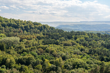 Fototapeta premium Summer Mountains Landscape with Green forest.