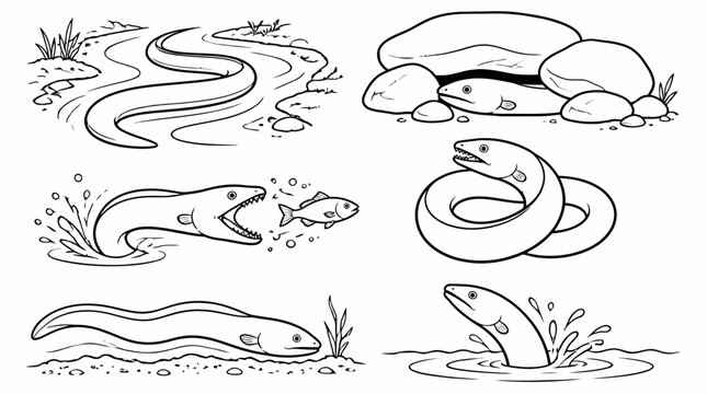Set of eel illustrations in various actions and natural habitats