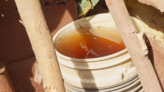 Close-up of a white bucket with stagnant brownish-toned water, held between wooden supports in a corner of the yard.