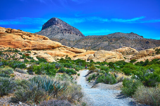 Red Rock Canyon Calico Tanks Trail with Turtlehead Peak and Desert Landscape
