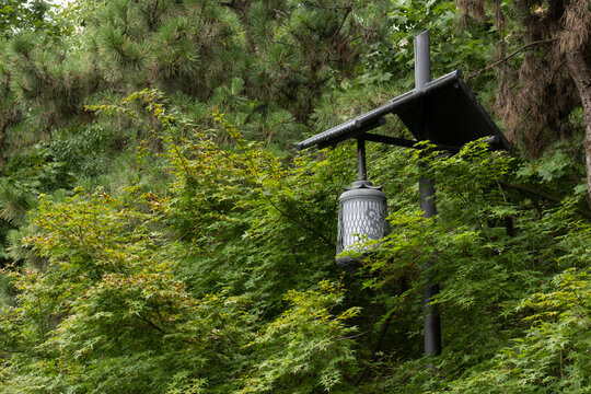 Traditional East Asian style garden lantern hanging among lush green trees and maple leaves in a park