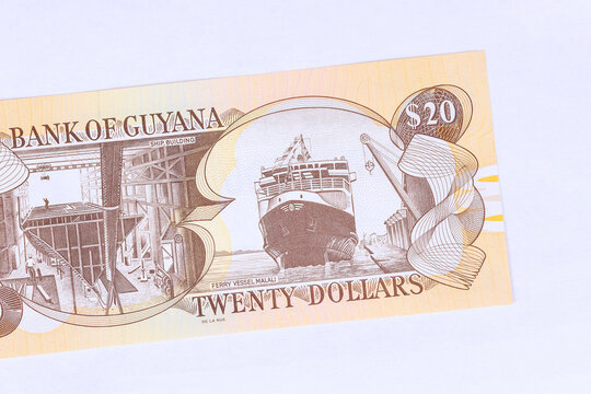 Twenty Guyanese dollar banknote as part of official currency of Guyana.