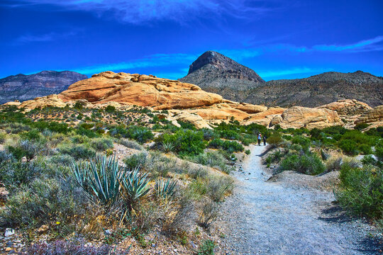 Red Rock Canyon Trail with Hikers and Turtlehead Peak in Nevada Desert