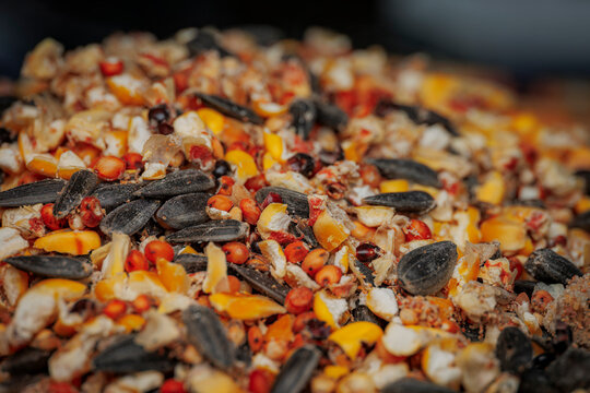 Macro close up shot of a mixed pile of wild bird seed including sunflower seeds and cracked corn kernels