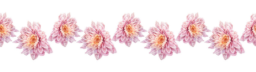 Fototapeta premium Watercolor seamless border with bouquet flower pink chrysanthemum on white background. Hand-drawn art for sketchbook. Romantic rim for florist or wedding celebration card. Wallpaper or wrapping