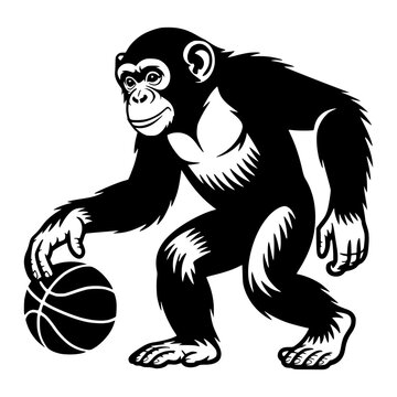 Chimpanzee Dribbling a Basketball