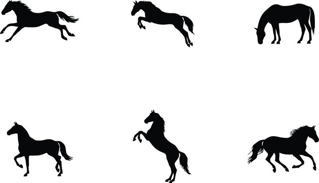 A set of six black silhouettes of horses in different poses including running, jumping, grazing, and rearing, isolated on a white background