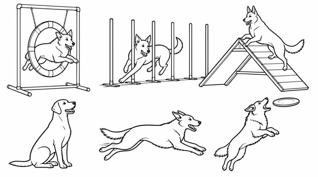Dog agility training set with obstacle course equipment, pet activity line art