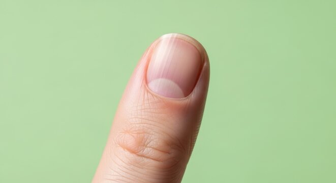 Close up of a human finger with a clean nail.
