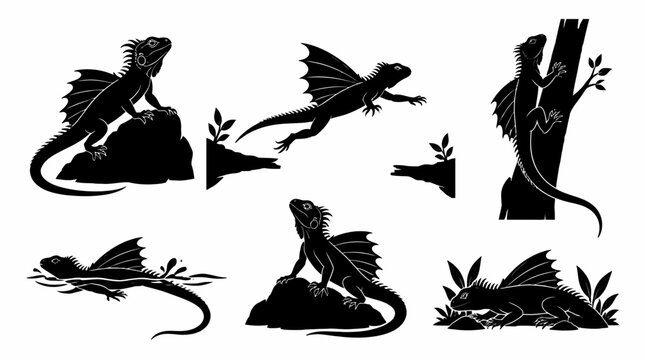 Basilisk Lizard Silhouettes Set in Various Dynamic Poses