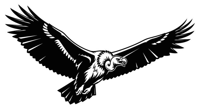 Black and white illustration of a majestic vulture soaring with wings spread wide in flight, showcasing its powerful form.
