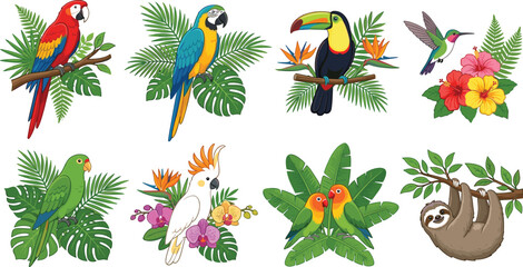 Tropical Jungle Birds and Animals Vector Icon Set with Macaw Toucan Cockatoo and Sloth on White Background © Taijul