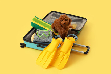 Cute brown poodle dog sitting in an open suitcase packed with summer vacation essentials and travel accessories, the luggage is packed with travel essentials including yellow swimming fins © Pixel-Shot