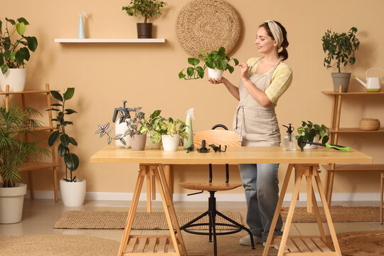 Young woman in apron caring for a houseplant on a wooden table in a bright room with other potted plants, She stands at a wooden table filled with various potted plants and gardening tools, including