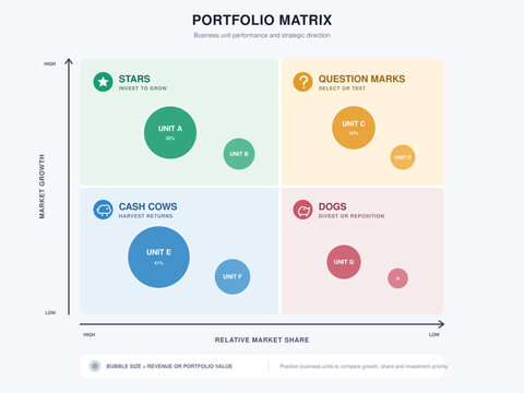 Portfolio Matrix Bubble Chart Business Strategy Infographic Template
