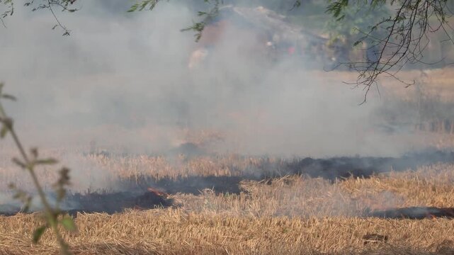 Harvested farmland covered in smoke from stubble burning. Ideal for environmental, agricultural, climate change, pollution and documentary productions.