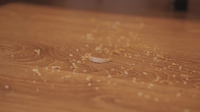 Slow motion brush sweeps peeled skin fragments, creating a metaphor for drought