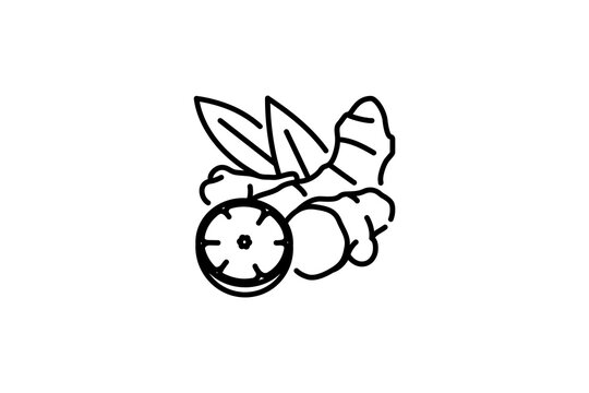 Vector illustration of ginger with lemon and leaves. Medicinal plant in cartoon style. Isolated on a white background. black line object icon design template.