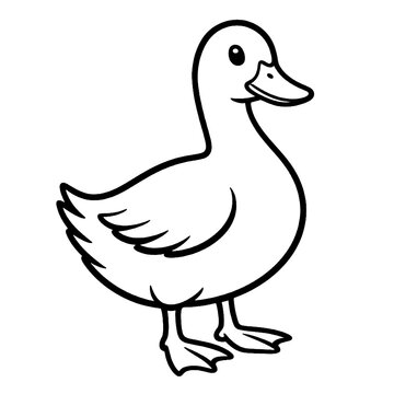 Duck line art sketch illustration isolated on transparent background