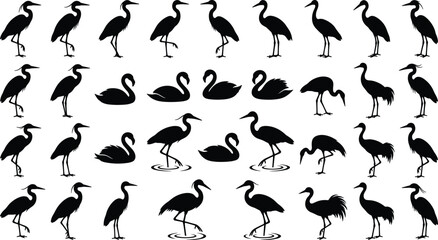 Comprehensive vector set of water bird silhouettes featuring herons cranes egrets swans and flamingos for nature wildlife conservation and wetland themed graphic designs © Sree