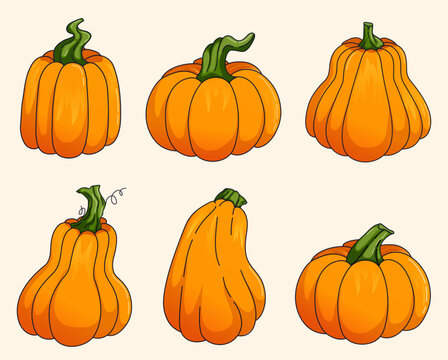 Gourd collection with six different pumpkin shapes and curly green stems, blank uncarved autumn squash for Halloween carving templates and Thanksgiving harvest decor, vector illustration set isolated 