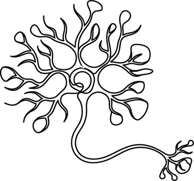 Continuous line drawing of a biological neuron nerve cell.