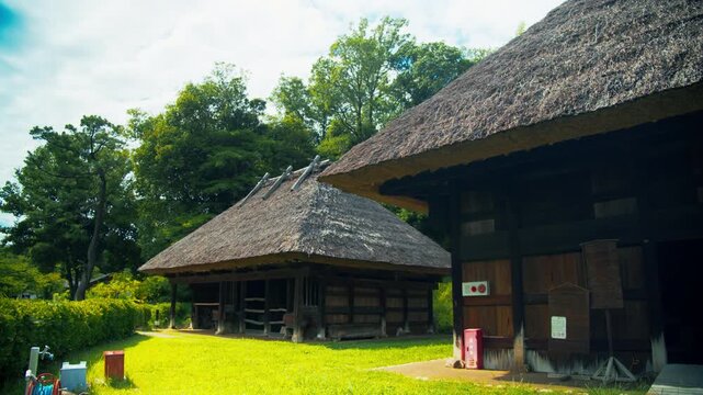 緑豊かで静かな集落に並ぶ茅葺き屋根の日本の古民家風景 4Kシネマティック映像素材