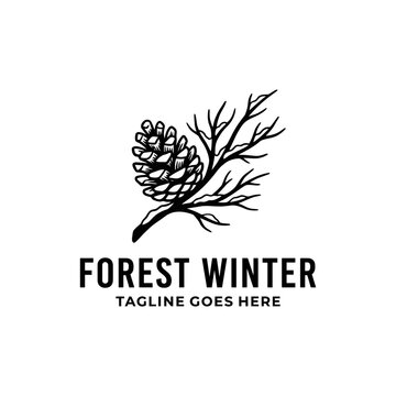 Elegant hand-drawn illustration of a pinecone on a coniferous branch. Ideal for rustic winter branding, seasonal decor, and nature-themed designs.