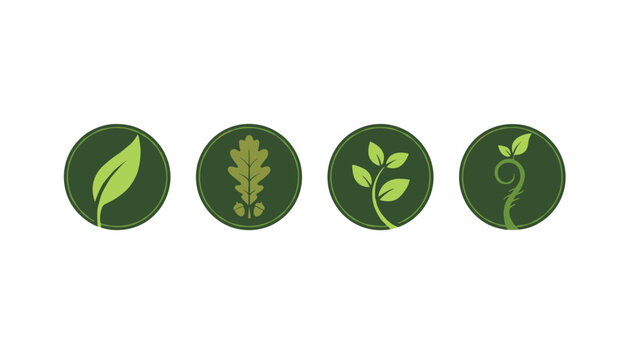 Set of four eco friendly leaf icons in green circles representing nature, growth, and environmental sustainability concepts.