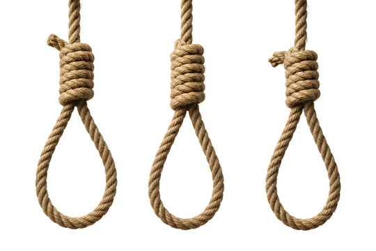 Three Traditional Hangman Noose Knots Made of Thick Brown Rope Isolated on a Plain White Background