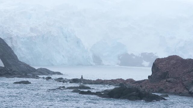 Antarctica Point Wild Marker & Memorial Site Ernest Shackleton on Elephant Island Moody Weather Penguin Colony View From Cruise Ship. Glacier