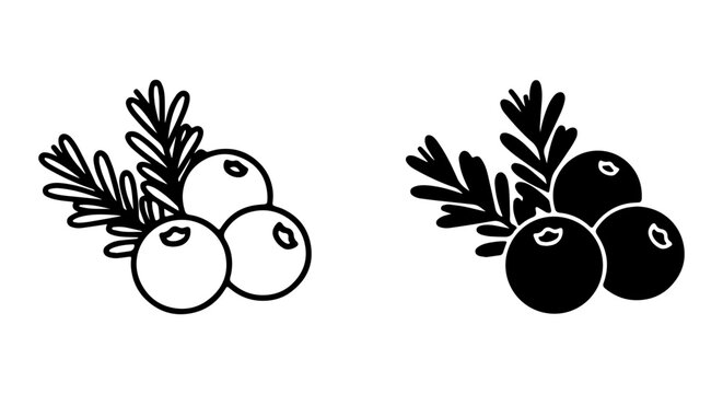 Juniper Berries Vector Icons, Black and White Botanical Illustrations, Organic Food and Drink Elements